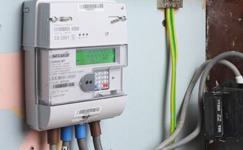 smart electric meter market segmentation