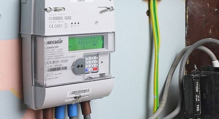 smart electric meter market segmentation