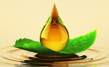 Global Bio-Lubricants Market