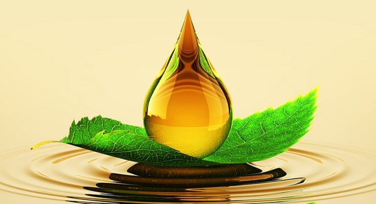 Global Bio-Lubricants Market