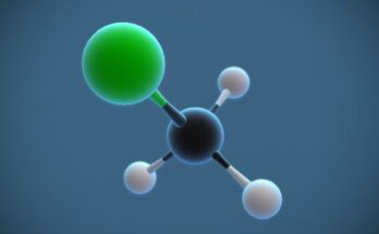 Global Chloromethane Market