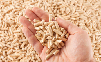 Global Wood Pellet Fuel Market