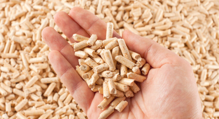 Global Wood Pellet Fuel Market