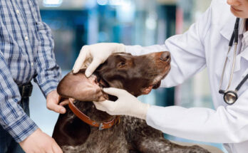 veterinary laboratory testing services market