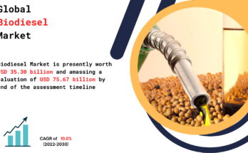 Biodiesel Market