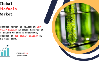 Biofuel Market