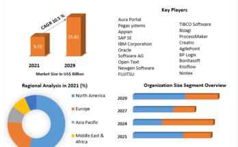 Organizational Process Management Market