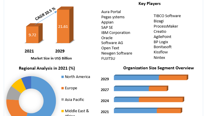 Organizational Process Management Market