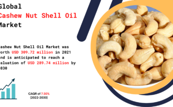 Cashew Nut Shell Oil (CNSL) Market