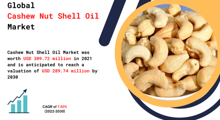 Cashew Nut Shell Oil (CNSL) Market