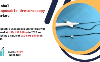 Disposable Ureteroscopy Market