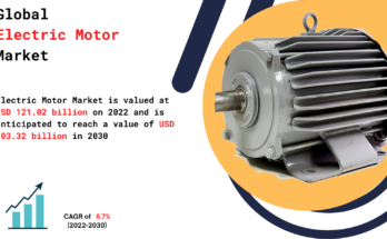 Electric Motor Market