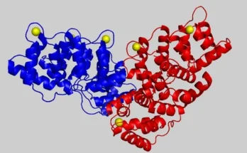 Feed Non-Protein Nitrogen Market