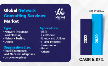 Network Consulting Service Market