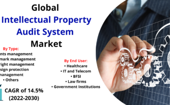 Intellectual Property Audit System Market