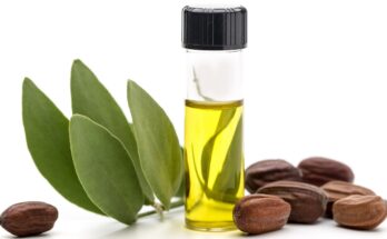 Jojoba Oil Derivatives Market