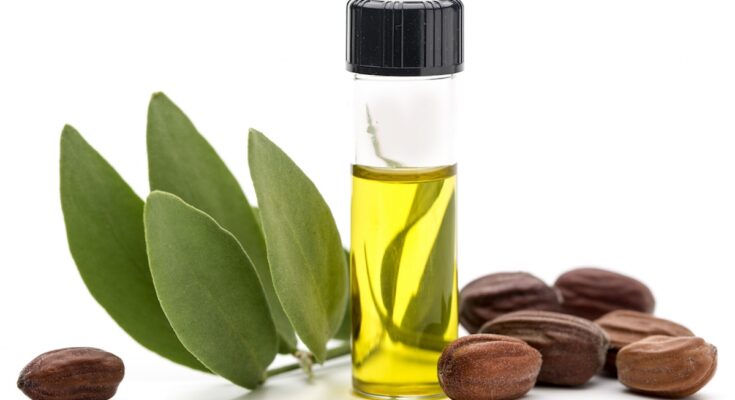 Jojoba Oil Derivatives Market