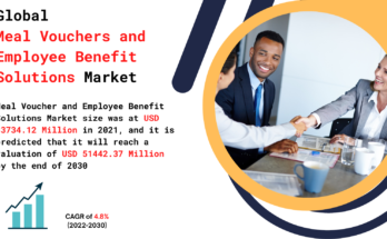 Meal Vouchers and Employee Benefit Solutions Market