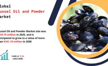 Mussel Oil and Power Market