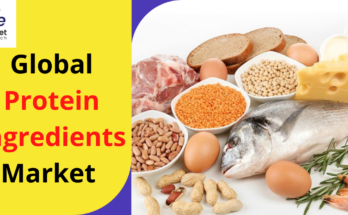 Protein Ingredients Market