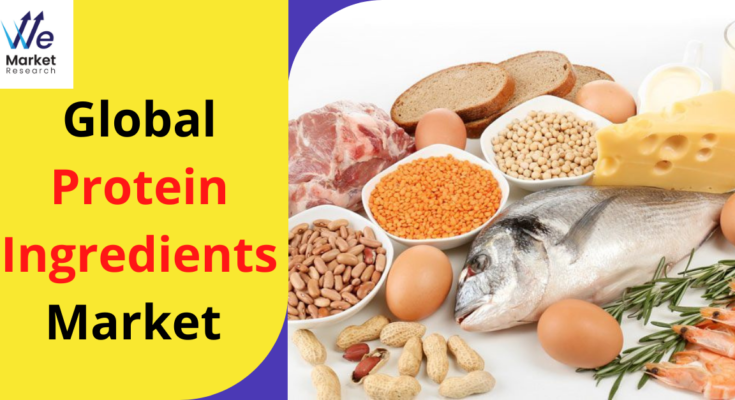 Protein Ingredients Market