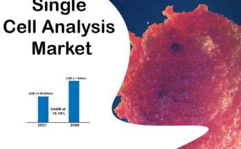 Single Cell Analysis Market