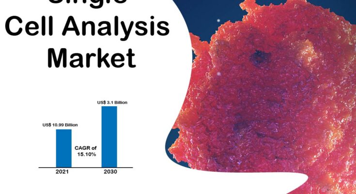 Single Cell Analysis Market