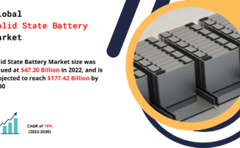 Solid State Battery Market