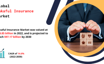 Takaful Insurance Market