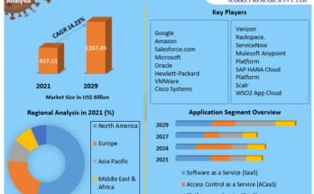 Public Cloud Service Market