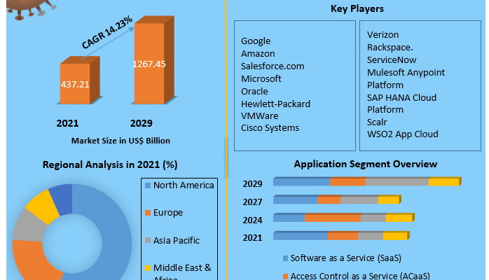 Public Cloud Service Market