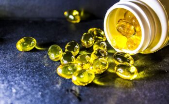 omega-3 market