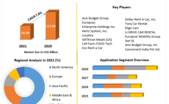 Car Rental Business Market