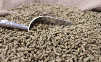 Asia-Pacific Animal Feed Additive Market Analysis, Opportunities, Growth, Size, Share and Forecast