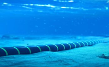 Asia Pacific Undersea Fiber Optic Cable Market