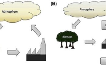 Bioenergy With Carbon Capture And Storage Market