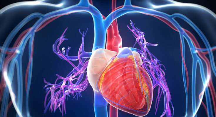 Global Cardiomyopathy Devices Market