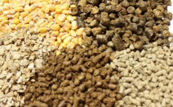 Compound Feeds And Additives Market