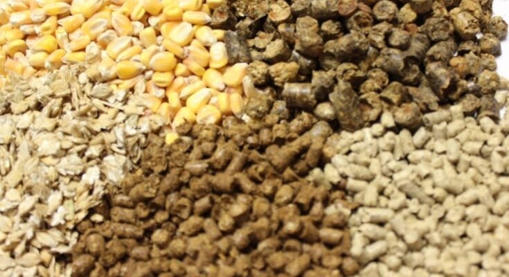 Compound Feeds And Additives Market