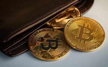 Crypto Wallet Market Analysis, Opportunities, Growth, Size, Share and Forecast