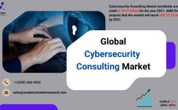 Cybersecurity Consulting Market