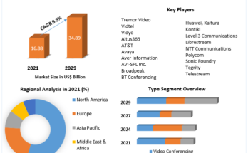 Enterprise Video Market