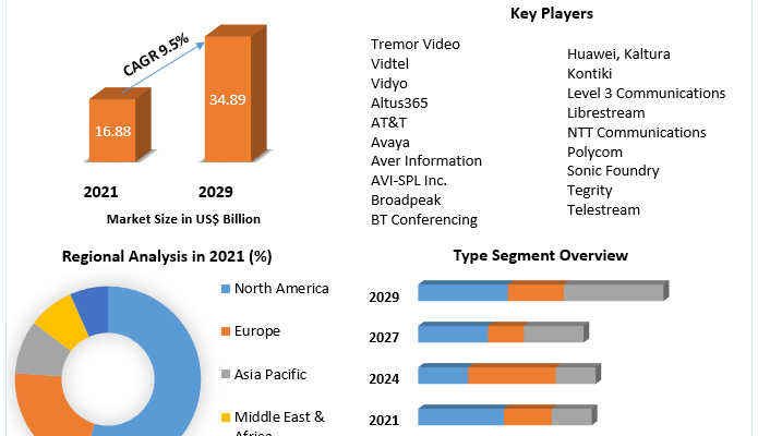 Enterprise Video Market