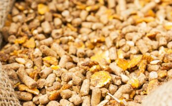 Europe Animal Feed Additive Market Analysis, Opportunities, Growth, Trends, Share, Size and Forecast