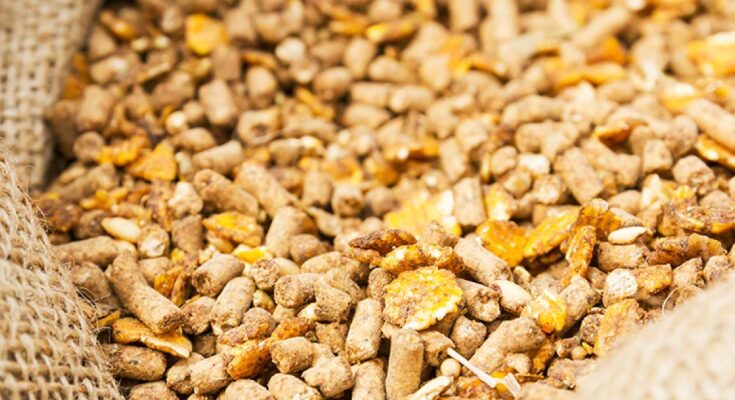 Europe Animal Feed Additive Market Analysis, Opportunities, Growth, Trends, Share, Size and Forecast