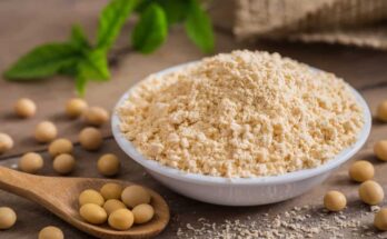 Food Grade Soy Lecithin Market