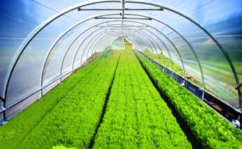 Global Agricultural Films Market Analysis, Growth, Opportunity, Size, Share, and forecast