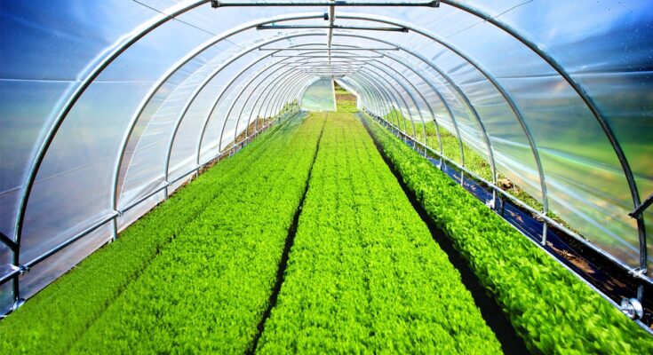 Global Agricultural Films Market Analysis, Growth, Opportunity, Size, Share, and forecast