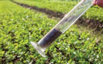 Global Agricultural Testing Market Analysis, Opportunity, Growth, Size, Share, Trends and Forecast