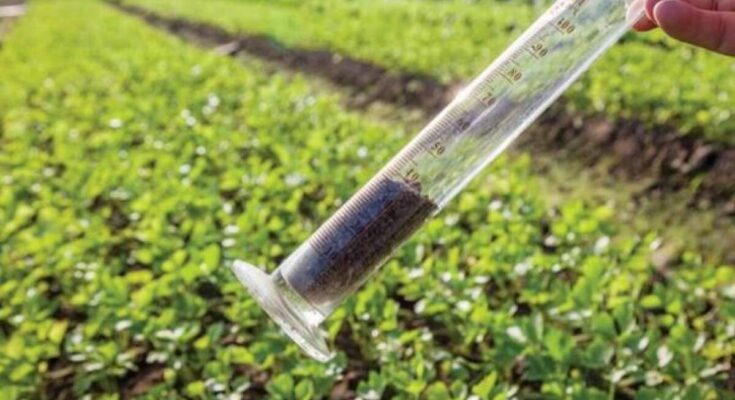 Global Agricultural Testing Market Analysis, Opportunity, Growth, Size, Share, Trends and Forecast